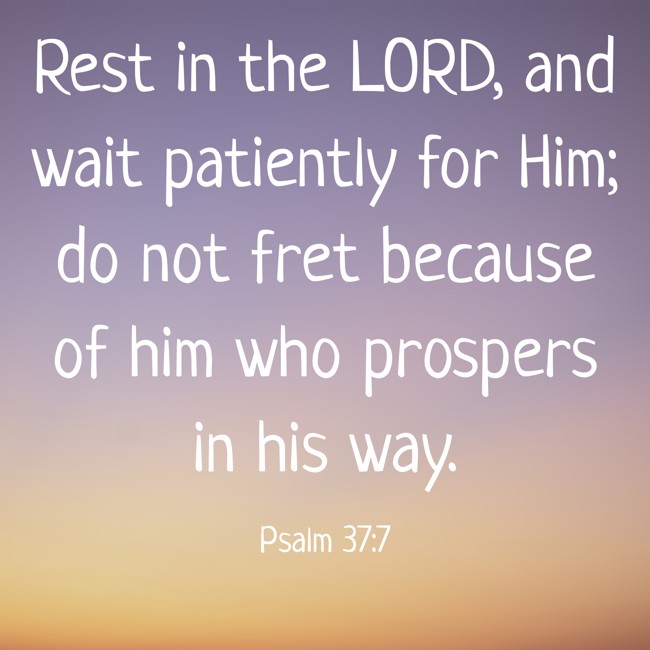 Rest in the LORD, and wait patiently for Him; do not fret because of him who prospers in his way. - Psalm 37:7