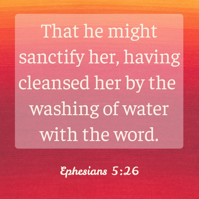 That he might sanctify her, having cleansed her by the washing of water with the word.   - Ephesians 5:26 