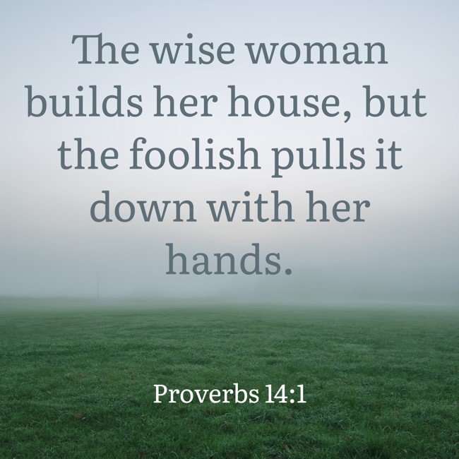The wise woman builds her house, but the foolish pulls it down with her hands. - Proverbs 14:1