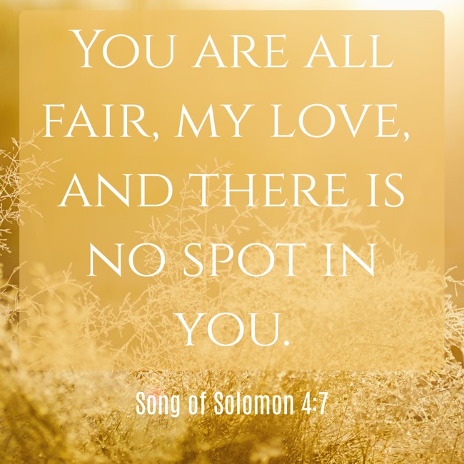 You are all fair, my love, and there is no spot in you. - Song of Solomon 4:7