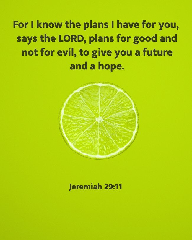 For I know the plans I have for you, says the LORD, plans for good and not for evil, to give you a future and a hope. - Jeremiah 29:11
