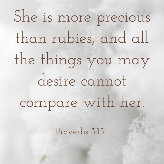 She is more precious than rubies, and all the things you may desire cannot compare with her. - Proverbs 3:15