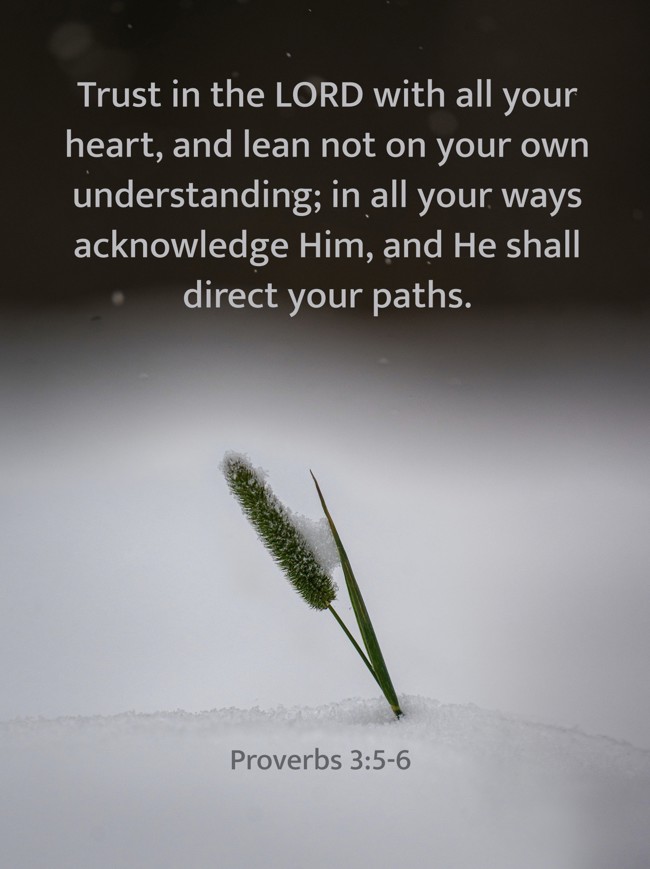 Trust in the LORD with all your heart, and lean not on your own understanding; in all your ways acknowledge Him, and He shall direct your paths. - Proverbs 3:5-6