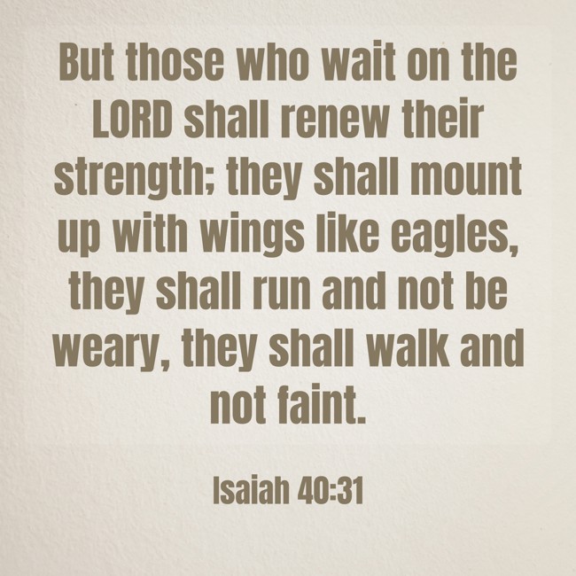 But those who wait on the LORD shall renew their strength; they shall mount up with wings like eagles, they shall run and not be weary, they shall walk and not faint. - Isaiah 40:31