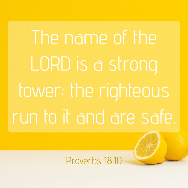 The name of the LORD is a strong tower; the righteous run to it and are safe. - Proverbs 18:10