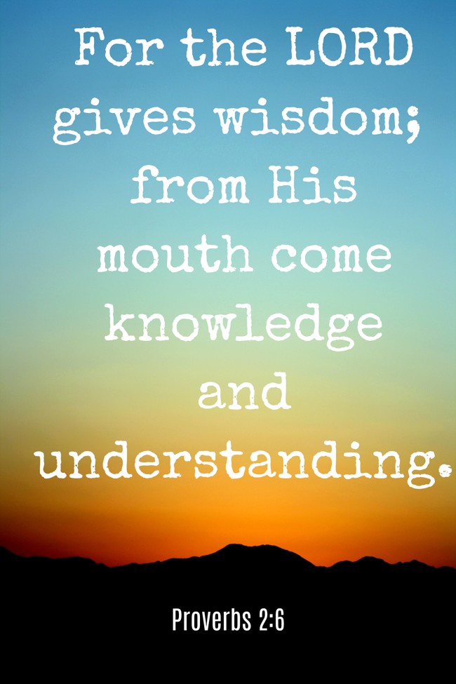 For the LORD gives wisdom; from His mouth come knowledge and understanding. - Proverbs 2:6