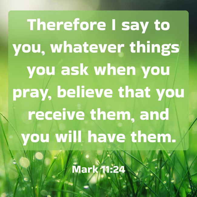Therefore I say to you, whatever things you ask when you pray, believe that you receive them, and you will have them. - Mark 11:24