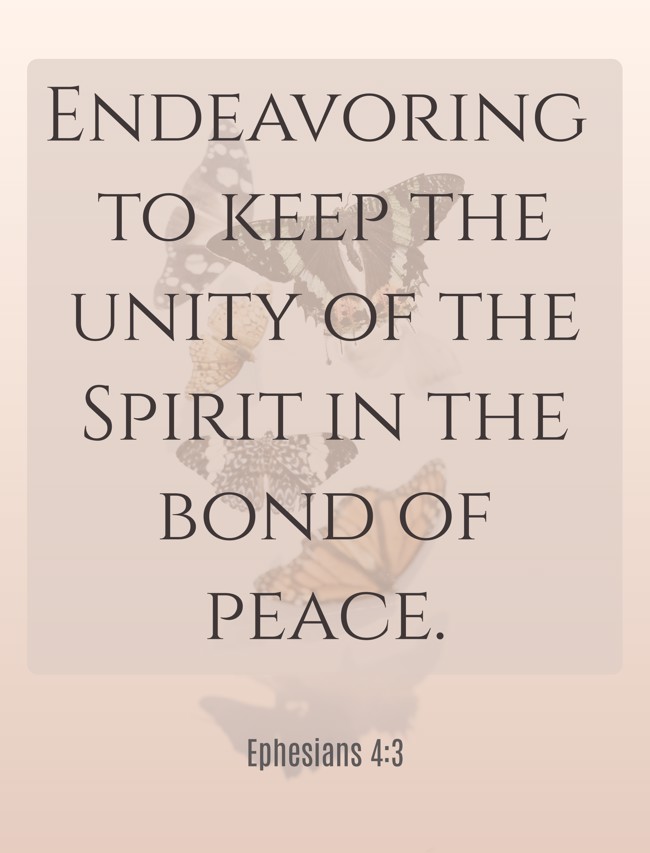 Endeavoring to keep the unity of the Spirit in the bond of peace. - Ephesians 4:3