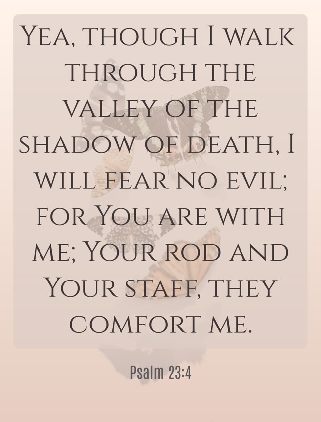 Yea, though I walk through the valley of the shadow of death, I will fear no evil; for You are with me; Your rod and Your staff, they comfort me. - Psalm 23:4