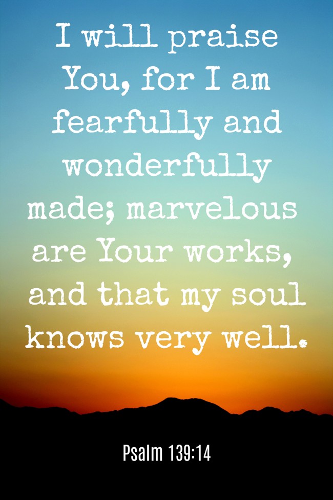 I will praise You, for I am fearfully and wonderfully made; marvelous are Your works, and that my soul knows very well.   - Psalm 139:14 