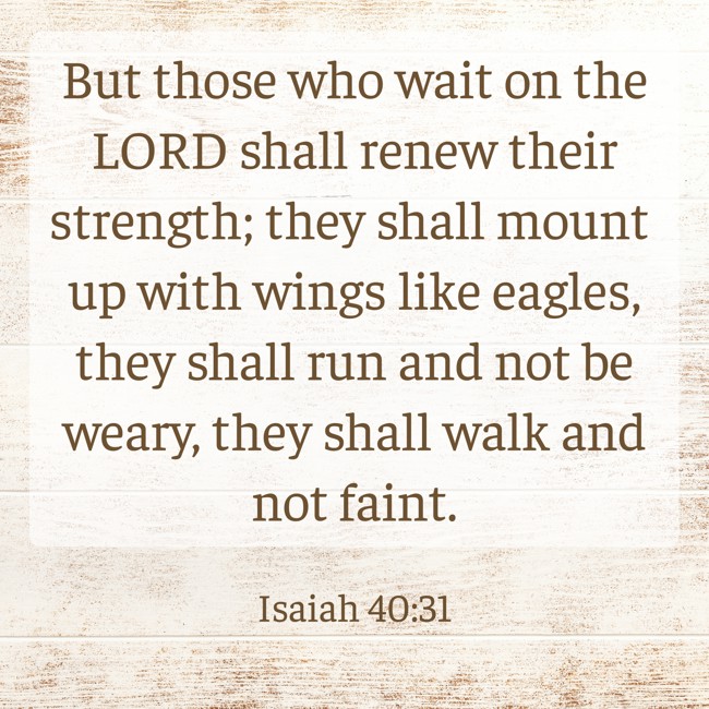  But those who wait on the LORD shall renew their strength; they shall mount up with wings like eagles, they shall run and not be weary, they shall walk and not faint.   - Isaiah 40:31 