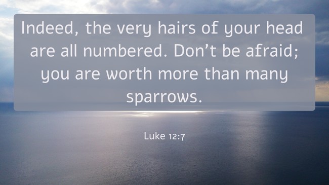 Indeed, the very hairs of your head are all numbered. Don't be afraid; you are worth more than many sparrows. - Luke 12:7