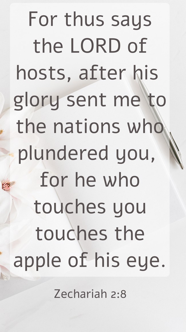 For thus says the LORD of hosts, after his glory sent me to the nations who plundered you, for he who touches you touches the apple of his eye. - Zechariah 2:8