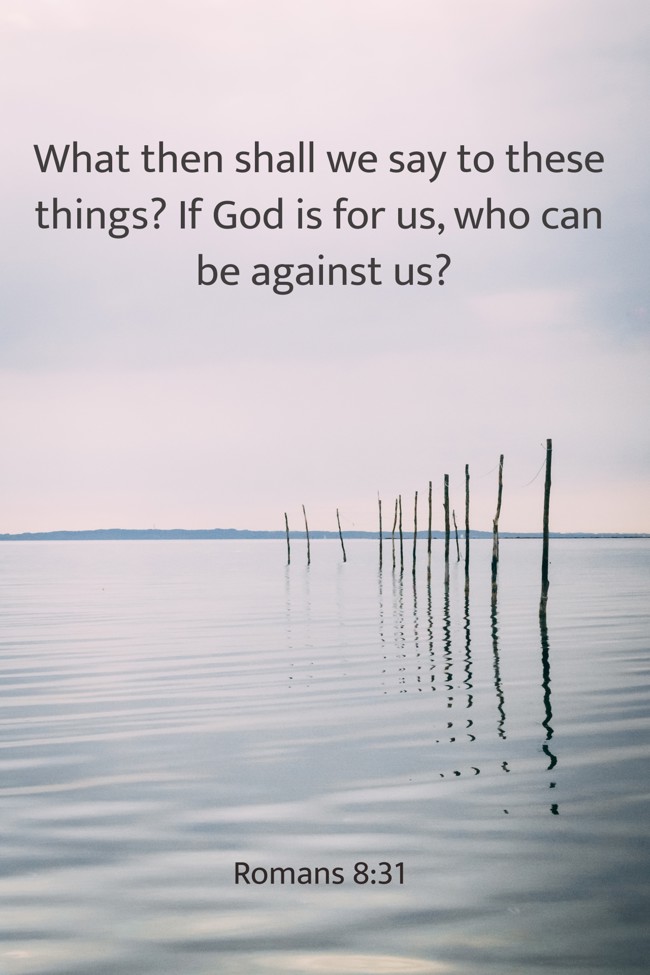 What then shall we say to these things? If God is for us, who can be against us? - Romans 8:31