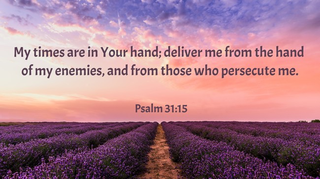  My times are in Your hand; deliver me from the hand of my enemies, and from those who persecute me.   - Psalm 31:15 