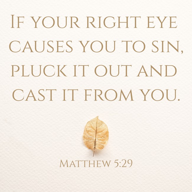 If your right eye causes you to sin, pluck it out and cast it from you. - Matthew 5:29