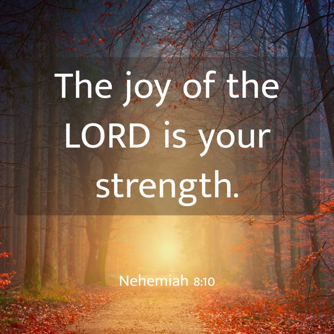 The joy of the LORD is your strength. - Nehemiah 8:10