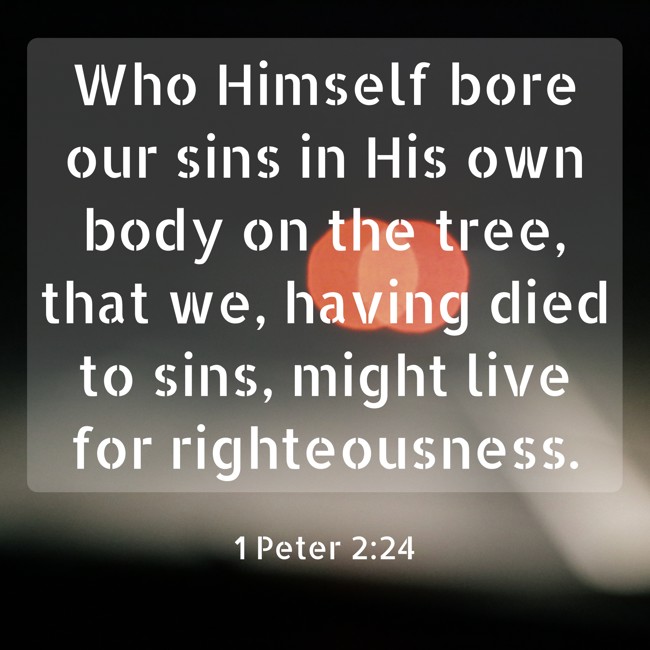 Who Himself bore our sins in His own body on the tree, that we, having died to sins, might live for righteousness. - 1 Peter 2:24