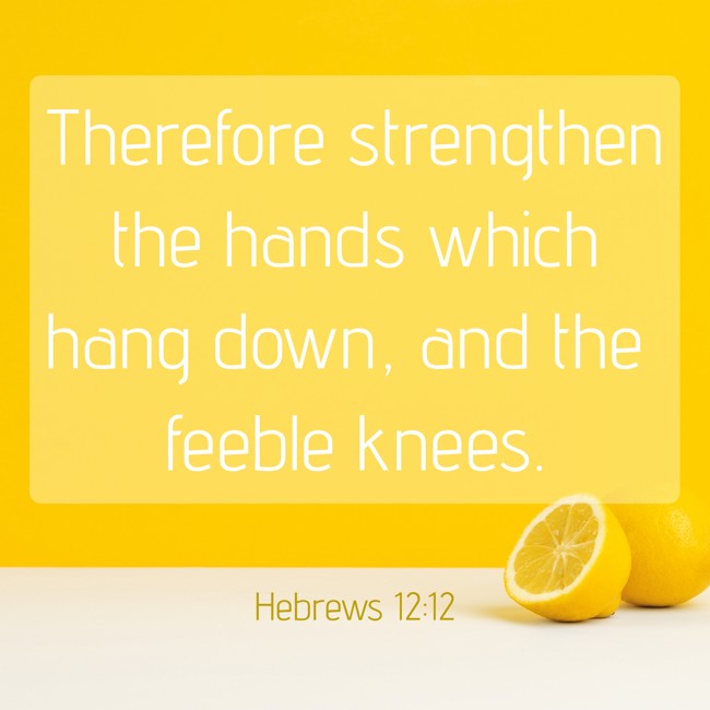 Therefore strengthen the hands which hang down, and the feeble knees. - Hebrews 12:12