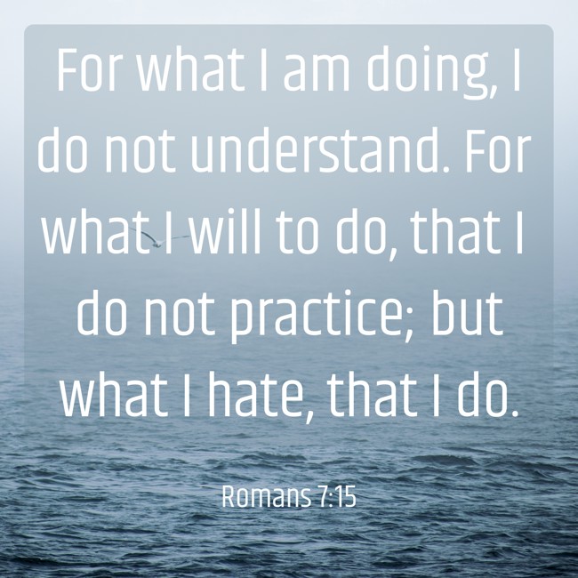 For what I am doing, I do not understand. For what I will to do, that I do not practice; but what I hate, that I do. - Romans 7:15