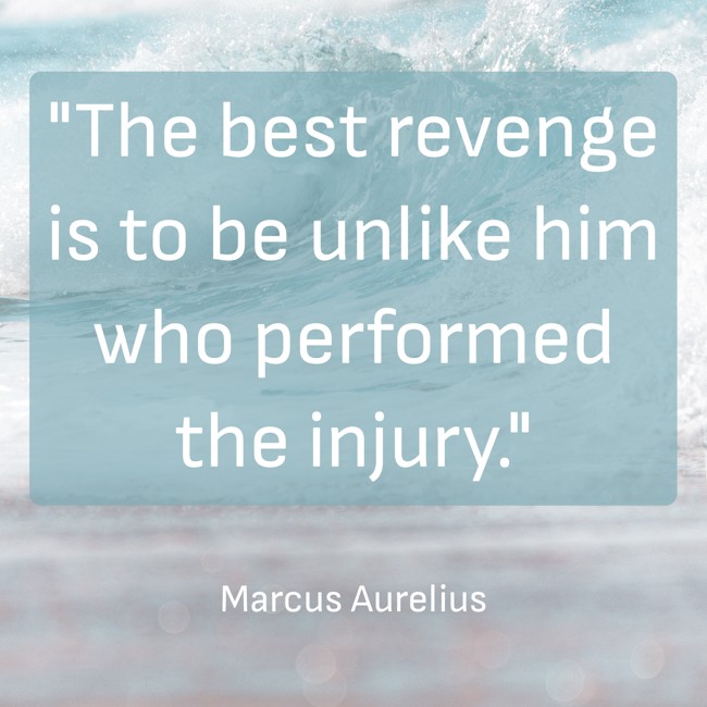The best revenge is to be unlike him who performed the injury. - Marcus Aurelius