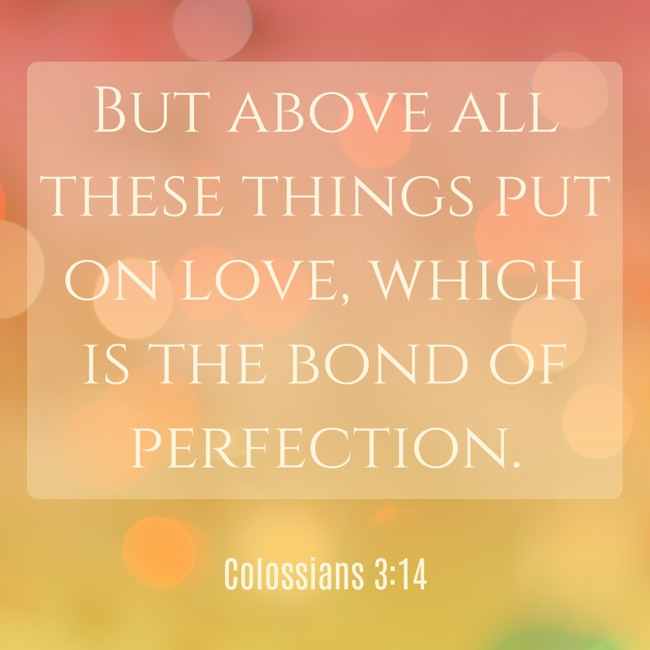 But above all these things put on love, which is the bond of perfection. - Colossians 3:14