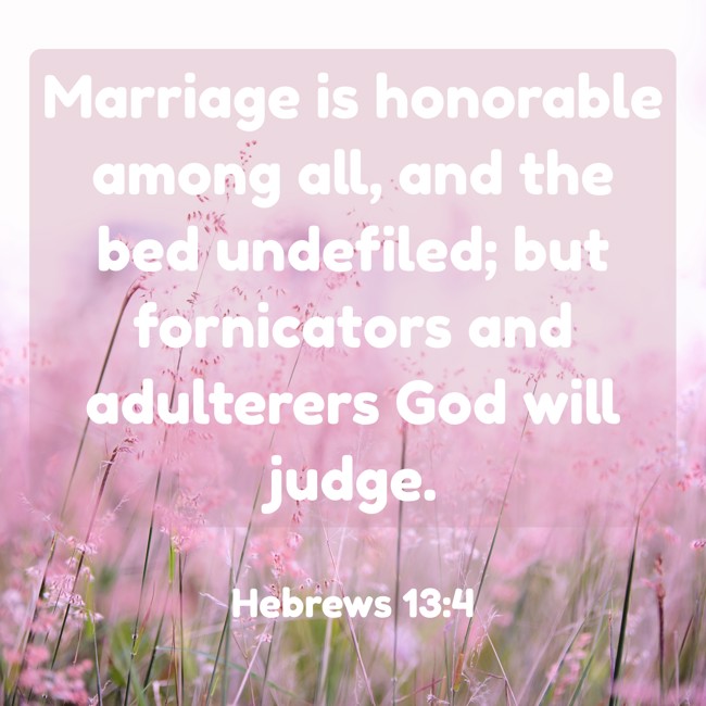 Marriage is honorable among all, and the bed undefiled; but fornicators and adulterers God will judge. - Hebrews 13:4