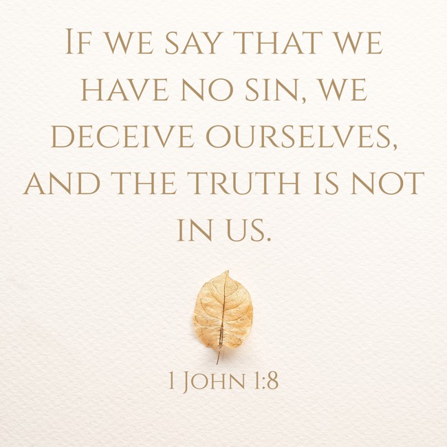 If we say that we have no sin, we deceive ourselves, and the truth is not in us. - 1 John 1:8