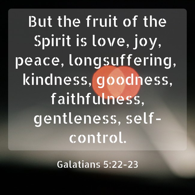 But the fruit of the Spirit is love, joy, peace, longsuffering, kindness, goodness, faithfulness, gentleness, self-control. - Galatians 5:22-23