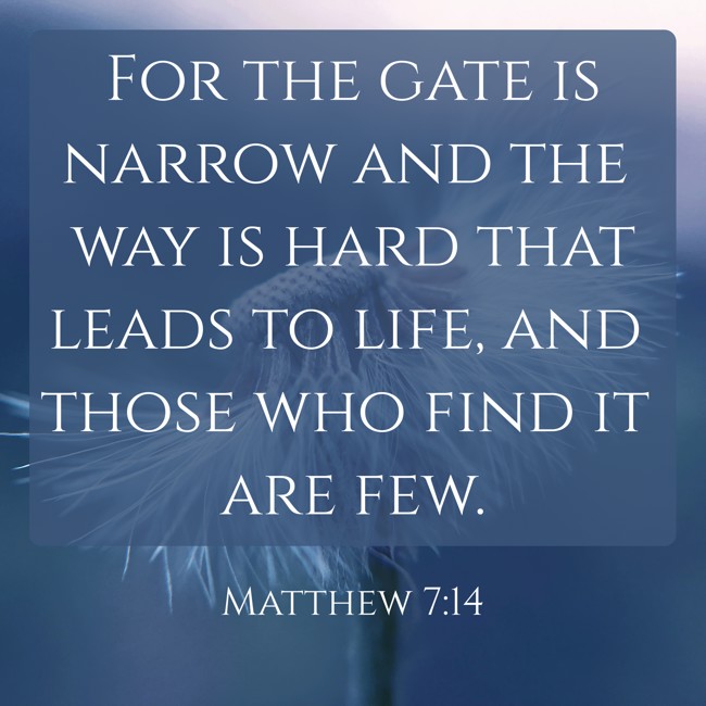 For the gate is narrow and the way is hard that leads to life, and those who find it are few. - Matthew 7:14