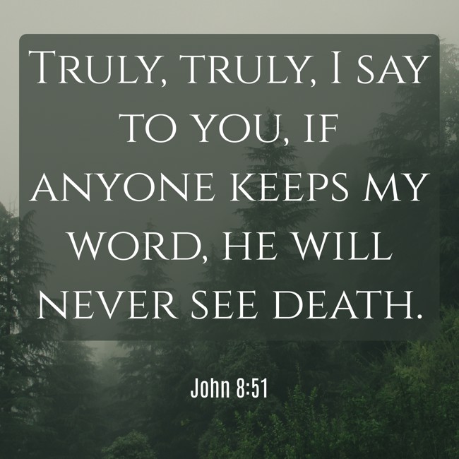 Truly, truly, I say to you, if anyone keeps my word, he will never see death. - John 8:51