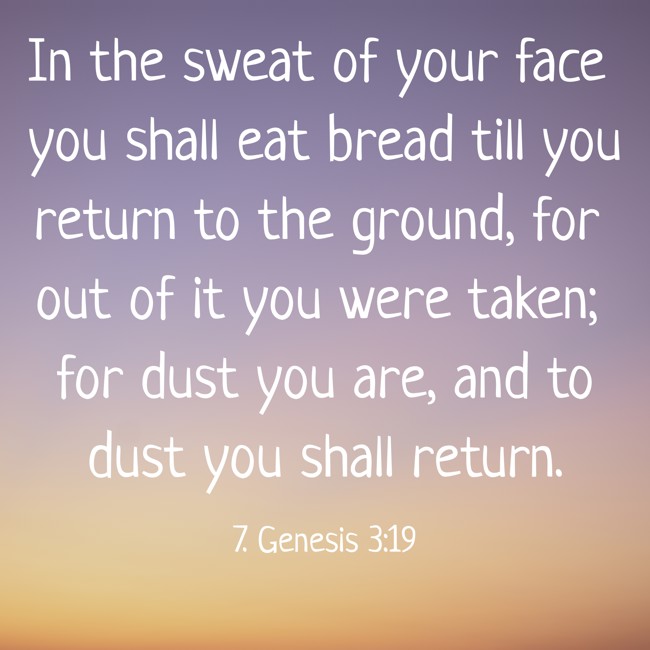 In the sweat of your face you shall eat bread till you return to the ground, for out of it you were taken; for dust you are, and to dust you shall return. - 7. Genesis 3:19