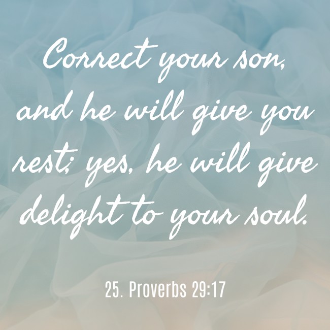 Correct your son, and he will give you rest; yes, he will give delight to your soul. - 25. Proverbs 29:17
