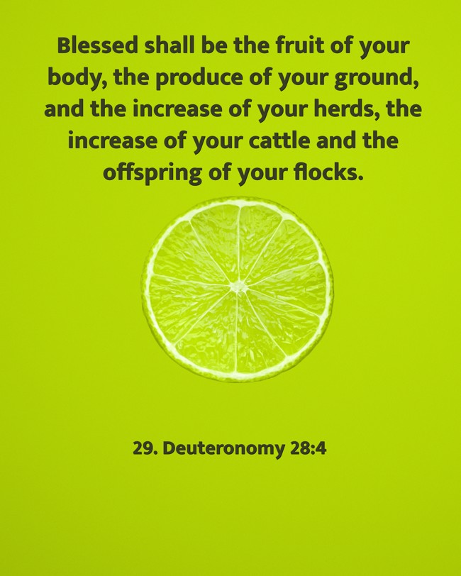 Blessed shall be the fruit of your body, the produce of your ground, and the increase of your herds, the increase of your cattle and the offspring of your flocks. - 29. Deuteronomy 28:4