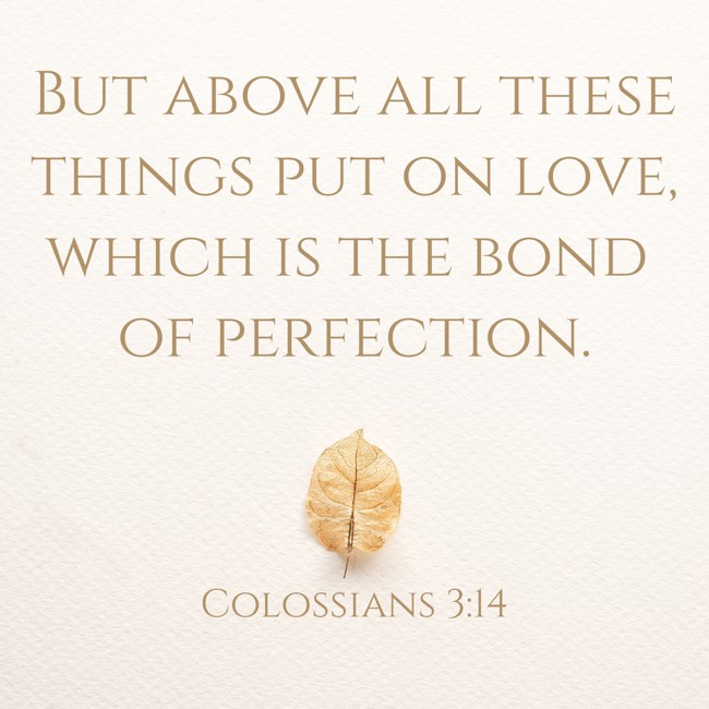 But above all these things put on love, which is the bond of perfection. - Colossians 3:14