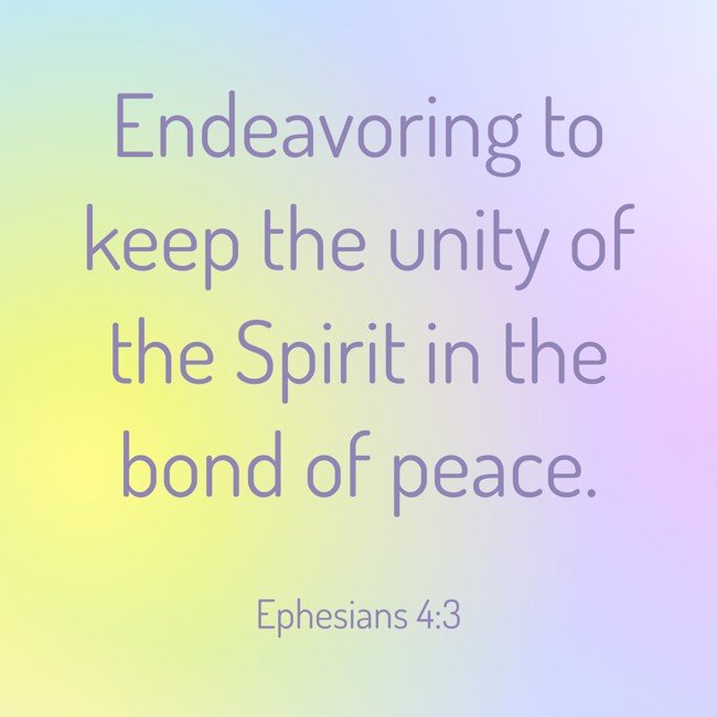 Endeavoring to keep the unity of the Spirit in the bond of peace. - Ephesians 4:3