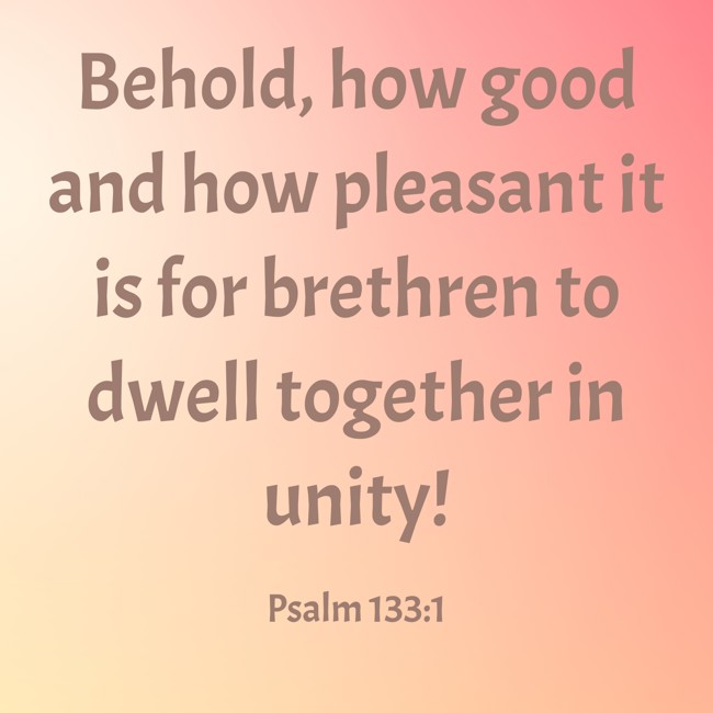 Behold, how good and how pleasant it is for brethren to dwell together in unity! - Psalm 133:1
