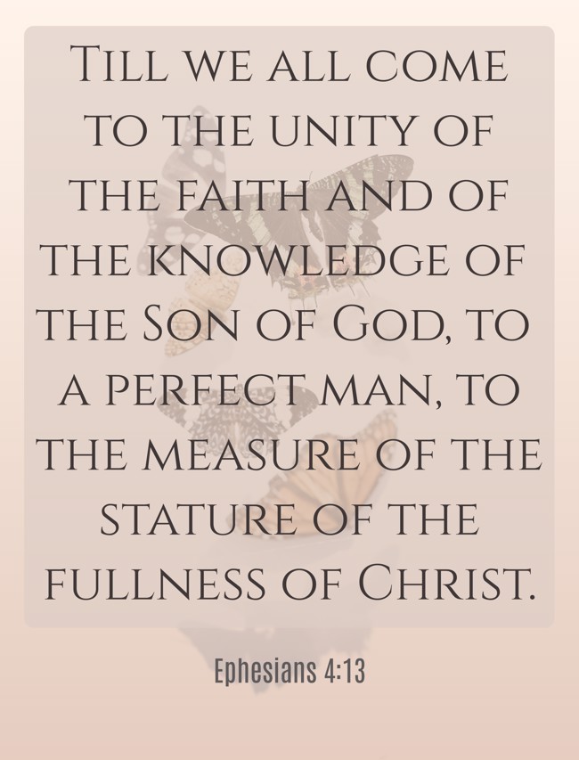 Till we all come to the unity of the faith and of the knowledge of the Son of God, to a perfect man, to the measure of the stature of the fullness of Christ. - Ephesians 4:13