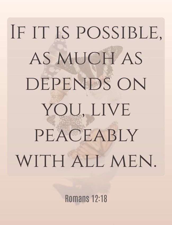 If it is possible, as much as depends on you, live peaceably with all men. - Romans 12:18