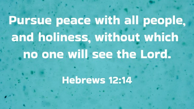 Pursue peace with all people, and holiness, without which no one will see the Lord. - Hebrews 12:14
