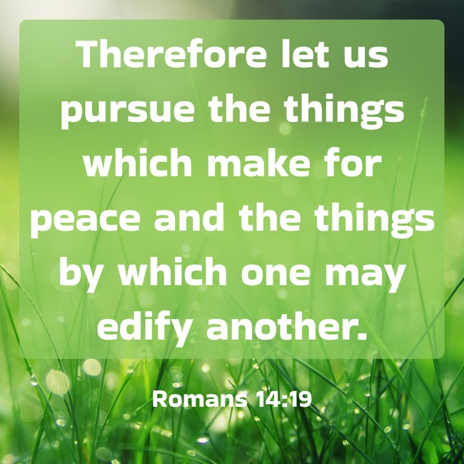 Therefore let us pursue the things which make for peace and the things by which one may edify another. - Romans 14:19