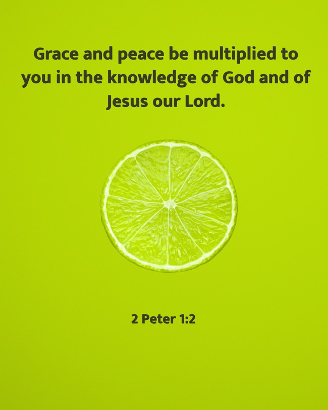Grace and peace be multiplied to you in the knowledge of God and of Jesus our Lord. - 2 Peter 1:2