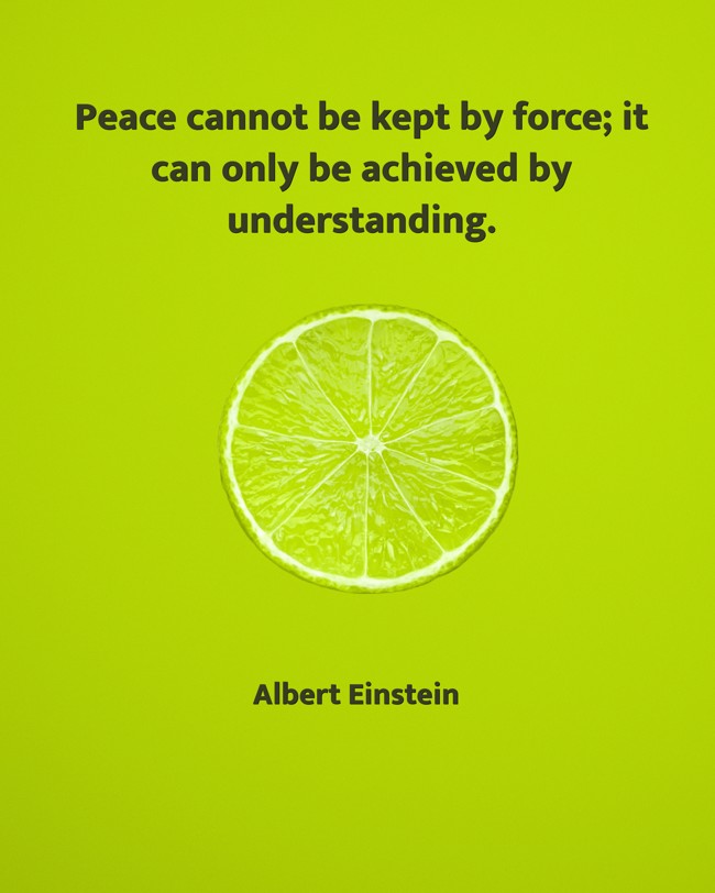 Peace cannot be kept by force; it can only be achieved by understanding. - Albert Einstein
