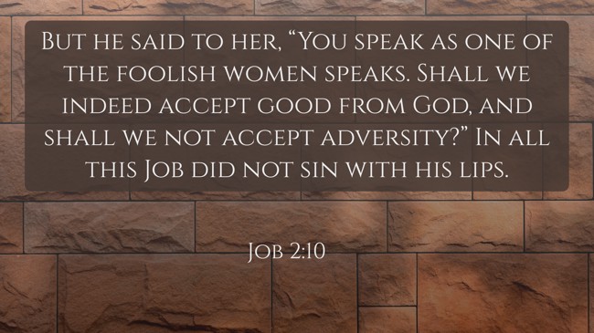 But he said to her, “You speak as one of the foolish women speaks. Shall we indeed accept good from God, and shall we not accept adversity?” In all this Job did not sin with his lips. - Job 2:10