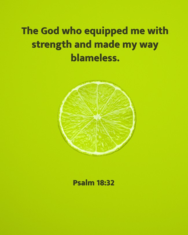The God who equipped me with strength and made my way blameless. - Psalm 18:32