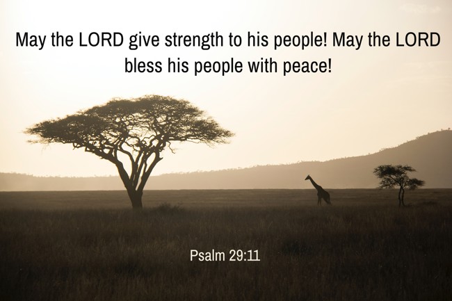 May the LORD give strength to his people! May the LORD bless his people with peace! - Psalm 29:11
