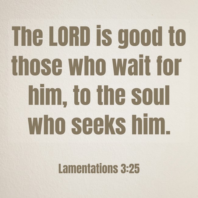The LORD is good to those who wait for him, to the soul who seeks him. - Lamentations 3:25