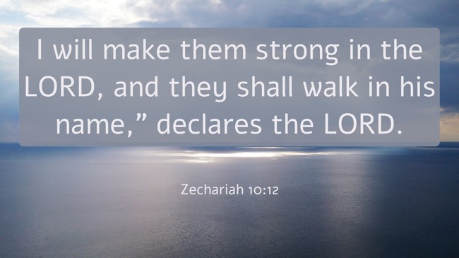 I will make them strong in the LORD, and they shall walk in his name,” declares the LORD. - Zechariah 10:12