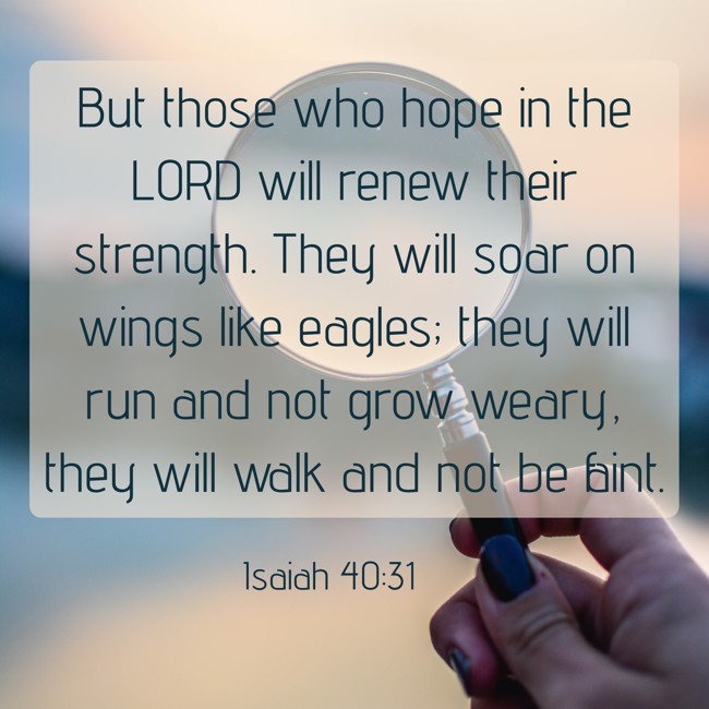 But those who hope in the LORD will renew their strength. They will soar on wings like eagles; they will run and not grow weary, they will walk and not be faint. - Isaiah 40:31
