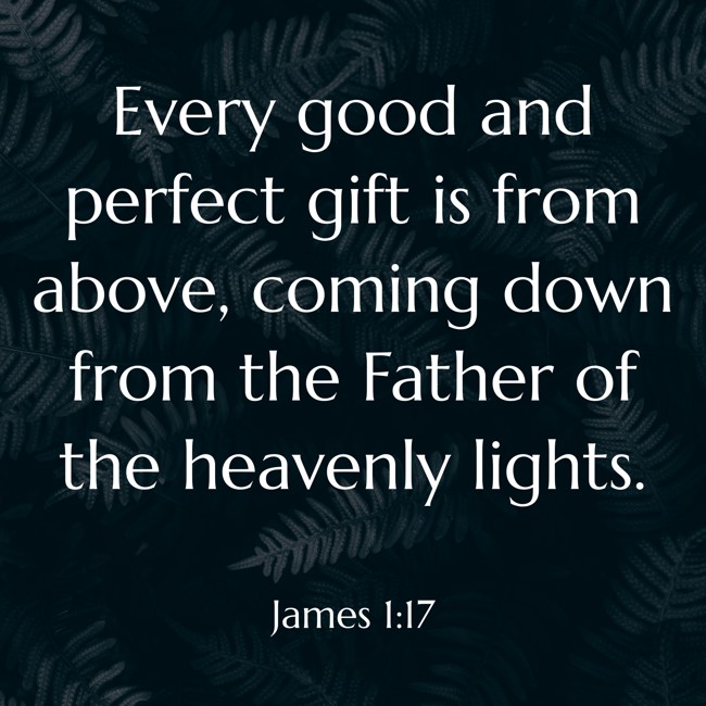 Every good and perfect gift is from above, coming down from the Father of the heavenly lights. - James 1:17